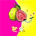 小蝌蚪app软件免费下载ios最新版
