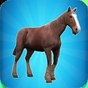 我的马模拟器My Horse Simulator_logo