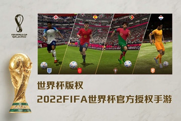 fifa world cup qatar 20220